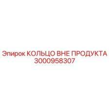 3000958307 КОЛЬЦО ВНЕ ПРОДУКТА Epiroc