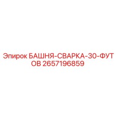 2657196859 БАШНЯ-СВАРКА-30-ФУТОВ Epiroc