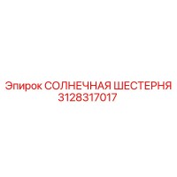 3128317017 СОЛНЕЧНАЯ ШЕСТЕРНЯ Epiroc