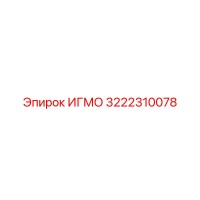 3222310078 ИГМО Epiroc