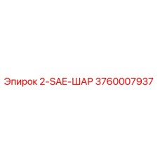 3760007937 2-SAE-ШАР Epiroc
