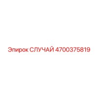 4700375819 СЛУЧАЙ Epiroc