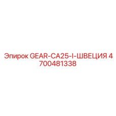 4700481338 GEAR-CA25-I-ШВЕЦИЯ Epiroc