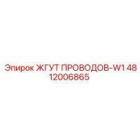 4812006865 ЖГУТ ПРОВОДОВ-W1 by Epiroc