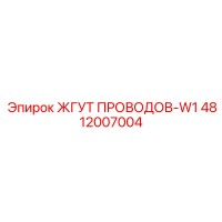 4812007004 ЖГУТ ПРОВОДОВ-W1 by Epiroc