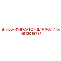 4812015731 ФИКСАТОР ДЛЯ РОЛИКА Epiroc