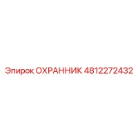 4812272432 ОХРАННИК Epiroc
