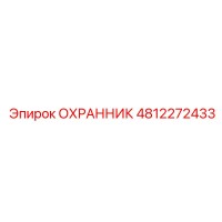 4812272433 ОХРАННИК Epiroc