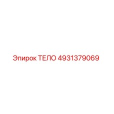 4931379069 ТЕЛО Epiroc