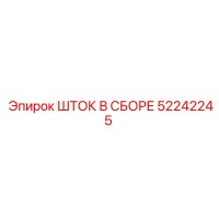 52242245 ШТОК В СБОРЕ Epiroc