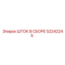 52242245 ШТОК В СБОРЕ Epiroc