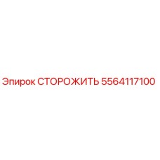 5564117100 СТОРОЖИТЬ Epiroc