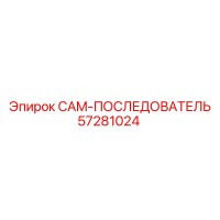 57281024 CAM-ПОСЛЕДОВАТЕЛЬ Epiroc