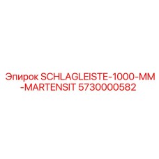 5730000582 SCHLAGLEISTE-1000-MM-MARTENSIT Epiroc