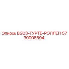 Фото детали 5730008894 BG03-ГУРТЕ-РОЛЛЕН Epiroc для гидравлических систем