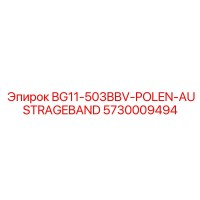 5730009494 BG11-503BBV-POLEN-AUSTRAGEBAND Epiroc
