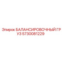 5730081229 БАЛАНСИРОВОЧНЫЙ ГРУЗ Epiroc