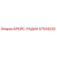 57534232 БРЕЙС-РАДИА Epiroc