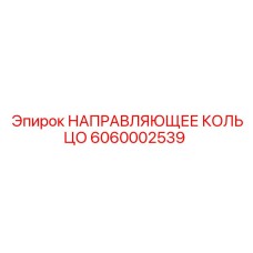 6060002539 НАПРАВЛЯЮЩЕЕ КОЛЬЦО Epiroc