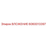 6060013397 ВЛОЖЕНИЕ Epiroc