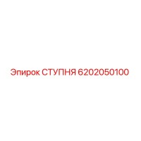 6202050100 СТУПНЯ Epiroc