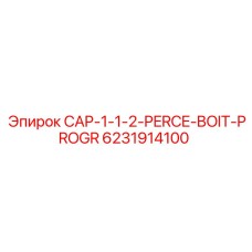 CAP-1-1-2-PERCE-BOIT-PROGR 6231914100 для буровых установок