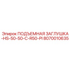 8070010635 ПОДЪЕМНАЯ ЗАГЛУШКА-HS-50-50-C-R50-PI Epiroc