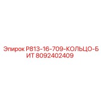 8092402409 P813-16-709-КОЛЬЦО-БИТ - Epiroc