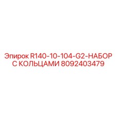 8092403479 R140-10-104-G2-НАБОР С КОЛЬЦАМИ Эпирок