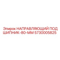 5730005825 НАПРАВЛЯЮЩИЙ ПОДШИПНИК-80-ММ Epiroc