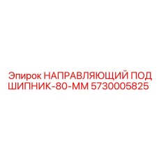 5730005825 НАПРАВЛЯЮЩИЙ ПОДШИПНИК-80-ММ Epiroc