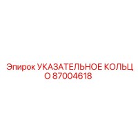87004618 УКАЗАТЕЛЬНОЕ КОЛЬЦО Epiroc