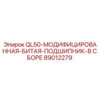 89012279 QL50-МОДИФИЦИРОВАННАЯ-БИТАЯ-ПОДШИПНИК-В СБОРЕ Epiroc