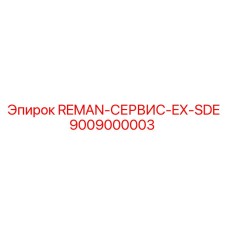 9009000003 REMAN-SERVICE-EX-SDE Epiroc