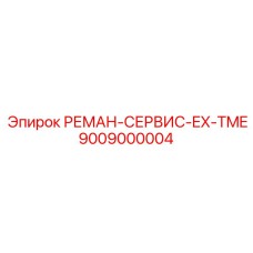 9009000004 REMAN-SERVICE-EX-TME Epiroc