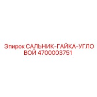 4700003751 САЛЬНИК-ГАЙКА-УГЛОВОЙ Epiroc