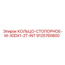 9125765800 КОЛЬЦО-СТОПОРНОЕ-M-30DX1-2T-INT Epiroc
