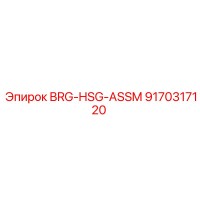 9170317120 BRG-HSG-ASSM Epiroc