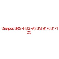 Фото узла BRG-HSG-ASSM Epiroc часть 9170317120