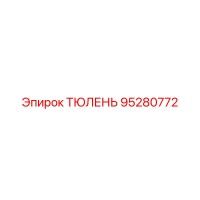 95280772 ТЮЛЕНЬ Epiroc