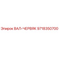 9718350700 ВАЛ-ЧЕРВЯК Epiroc