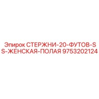 9753202124 СТЕРЖНИ-20-ФУТОВ-SS-ЖЕНСКАЯ-ПОЛАЯ Epiroc