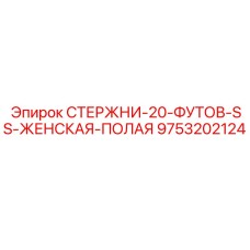 9753202124 СТЕРЖНИ-20-ФУТОВ-SS-ЖЕНСКАЯ-ПОЛАЯ Epiroc