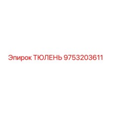 9753203611 Seal Epiroc