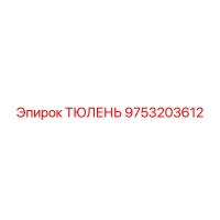 9753203612 Seal Epiroc