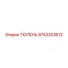 Изображение уплотнения Epiroc артикул 9753203612