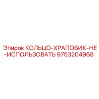 9753204968 КОЛЬЦО-ХРАПОВИК-НЕ-ИСПОЛЬЗОВАТЬ Epiroc