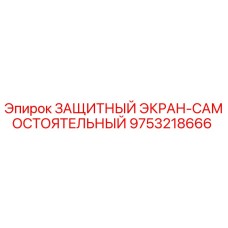 9753218666 ЗАЩИТНЫЙ ЭКРАН-САМОСТОЯТЕЛЬНЫЙ Epiroc