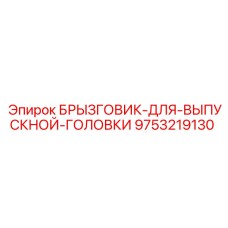 9753219130 БРЫЗГОВИК-ДЛЯ-ВЫПУСКНОЙ-ГОЛОВКИ Epiroc