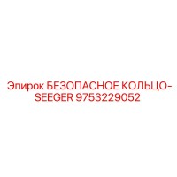 9753229052 БЕЗОПАСНОЕ КОЛЬЦО-SEEGER Epiroc